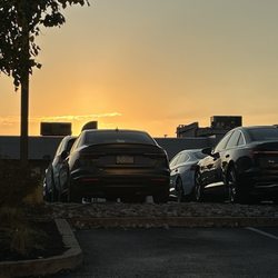 Audi Wynnewood - Loaner A4