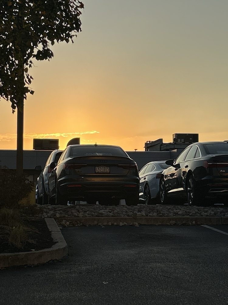 Audi Wynnewood