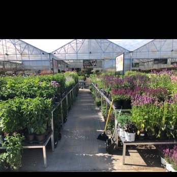 Lurvey Home & Garden - Nurseries & Gardening Near Me - Des Plaines, Illinois Lurvey Home & Garden - Nurseries & Gardening Near Me - Des Plaines, Illinois