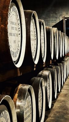 Suntory Yamazaki Distillery by null