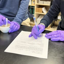 Grand Traverse Academy - Labwork