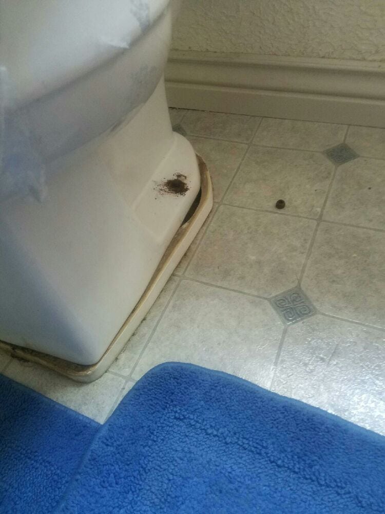 Slide of Murray Plumbing