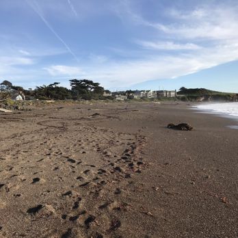 Shamel Park - Parks Near Me - Cambria, California Shamel Park - Parks Near Me - Cambria, California