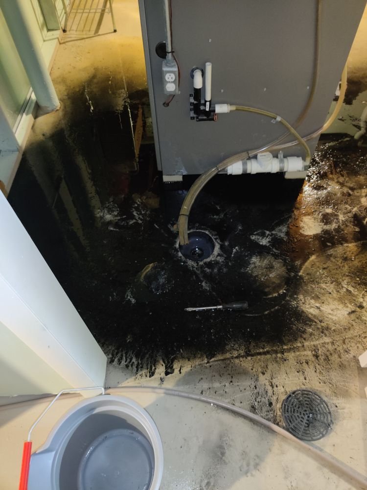 Slide of Sherlock Holmes