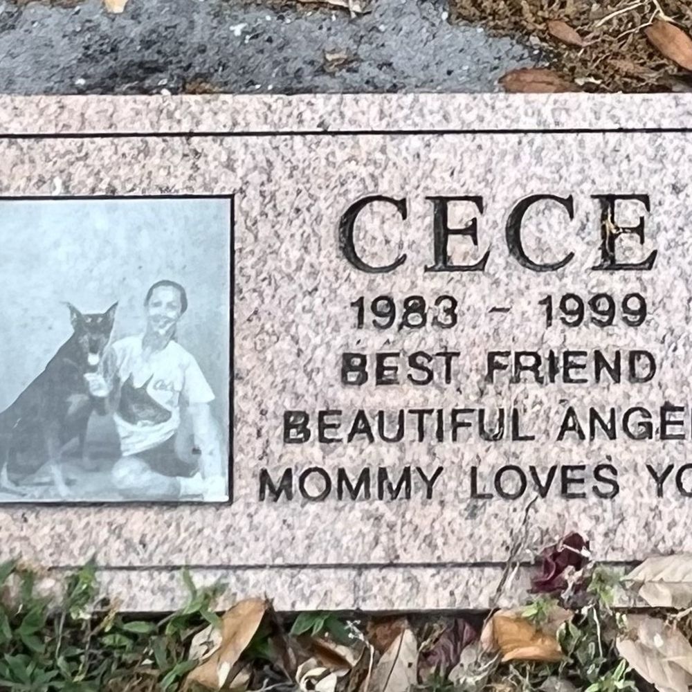 Broward Pet Cemetery - Funeral Services & Cemeteries Near Me - Plantation, Florida Broward Pet Cemetery - Funeral Services & Cemeteries Near Me - Plantation, Florida
