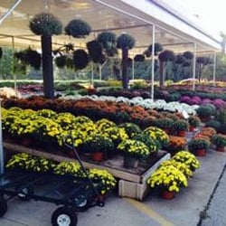 McCammon's Irish Market - Large Selection