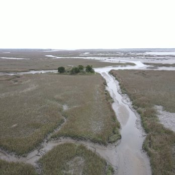 Avant Drone - Francis Marion National Forrest - Video/Film Production Near Me