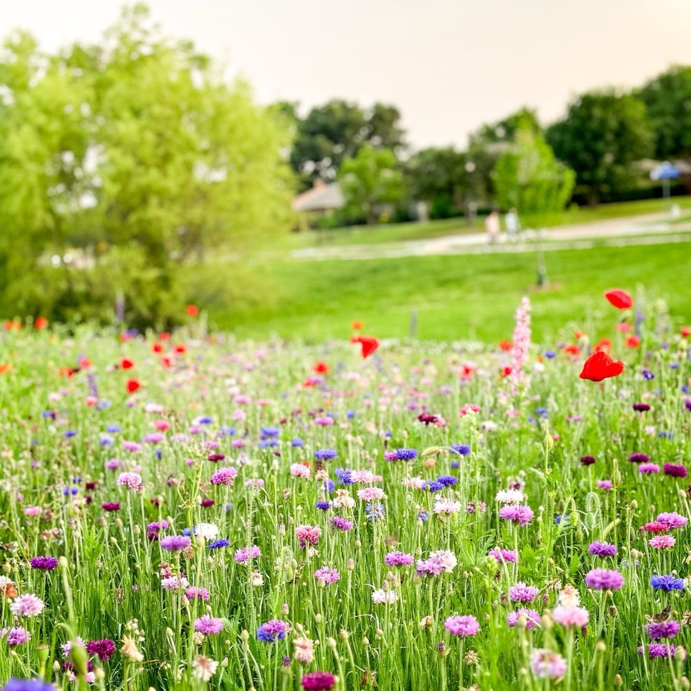 Eagle Hill School Compendium 2024-2025 by Eagle Hill School - Issuu, image size:1000x1000