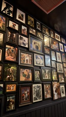 Paul Bar/Food by null