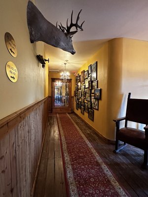 St. James Hotel by null