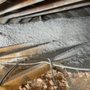 Priority North insulation