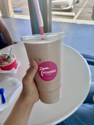 TOCUMBO ICE CREAM by null