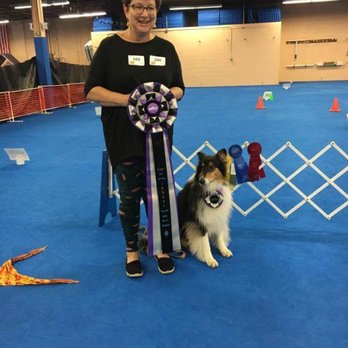 Let's Speak Dog - Lachki's Lady of Loch Ness earning her 2nd ARCHMX with stellar scores. Thanks Renee Hall for not giving up on us. - Pet Training Near Me - Easton, Pennsylvania