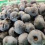 Photo of Vanzant Fruit Farms