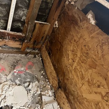 Progress Residential - Mold down to the studs ... probably wouldn't be this bad if they just would have addressed it 8 + months earlier . - Property Management Near Me - Las Vegas, Nevada Progress Residential - Mold down to the studs ... probably wouldn't be this bad if they just would have addressed it 8 + months earlier . - Property Management Near Me - Las Vegas, Nevada