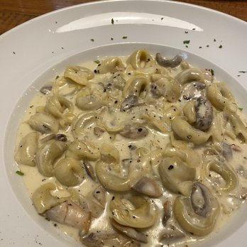 Don Camillo Tuscan Grill - Looks like a big bowl of pasta! It's not. - Italian Near Me - Hickory Creek, Texas