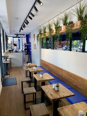 Bluebird Brothers by null