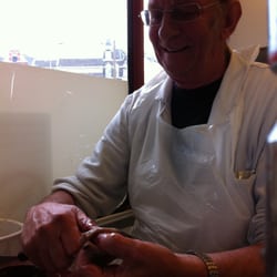 Visser haring