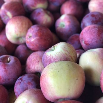 Thompson's Farm Market - a pile of apples - Fruits & Veggies Near Me - Naches, Washington