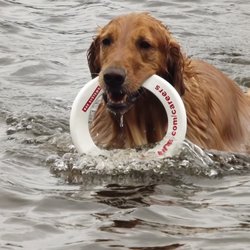 Pleasant Valley Veterinary Clinic - This was taken after his recovery at his favorite lake!