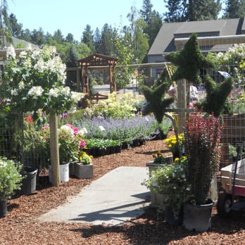 C&C Nursery and Landscape Maintenance - a wagon in a garden - Nurseries & Gardening Near Me - Sisters, Oregon C&C Nursery and Landscape Maintenance - a wagon in a garden - Nurseries & Gardening Near Me - Sisters, Oregon