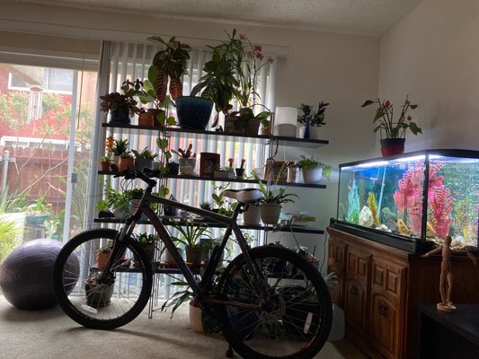 Bikes 4 Life 1344 Sunset Dr Antioch, CA 