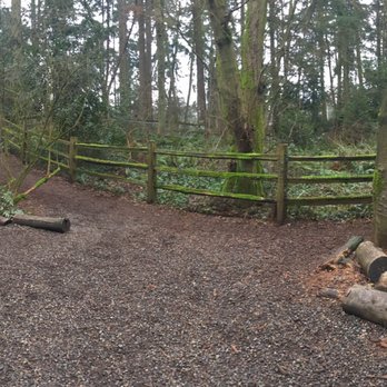 Northacres Park Off-Leash Area - Dog Parks Near Me - Seattle, Washington