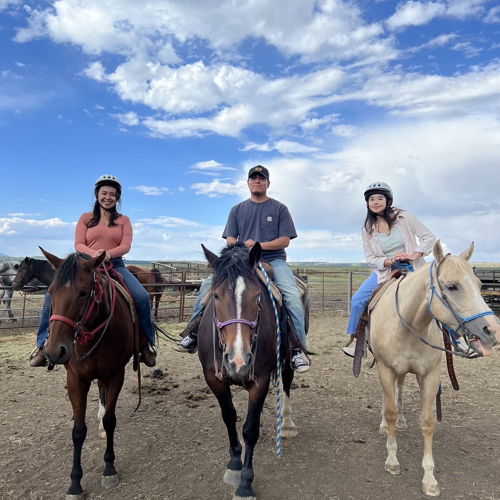 High Mountain Trail Rides - Dope horses - Tours Near Me - Mormon Lake, Arizona