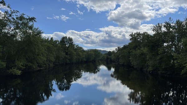 Adirondack Safari by null