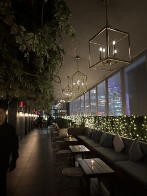 Elsie Rooftop by null