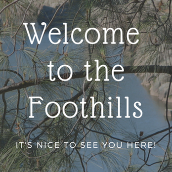 Kathy Fitzhenry - Real Estate Agents Near Me Kathy Fitzhenry - Real Estate Agents Near Me
