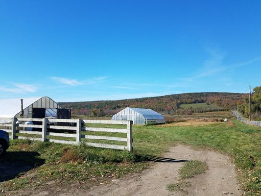 Rock Steady Farm by null