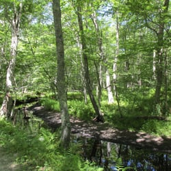 Wilbur Woods - Cool mountain bike trails