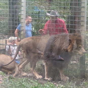 Claws 'N' Paws Animal Park - Petting the one more time with feeling. - Zoos Near Me - Hamlin, Pennsylvania Claws 'N' Paws Animal Park - Petting the one more time with feeling. - Zoos Near Me - Hamlin, Pennsylvania