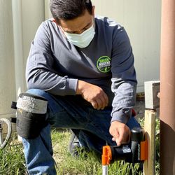 Green Rodent Restoration - Chicago mice control
