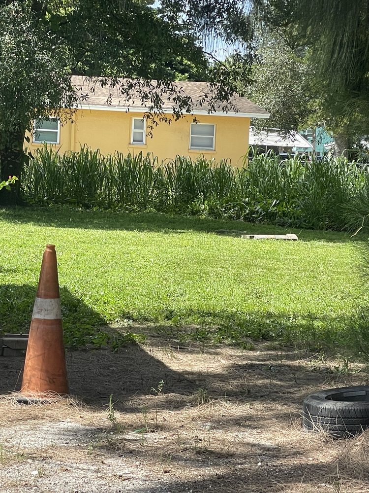 SUNRISE LANDSCAPING Updated August 2024 13 Photos Fort Myers