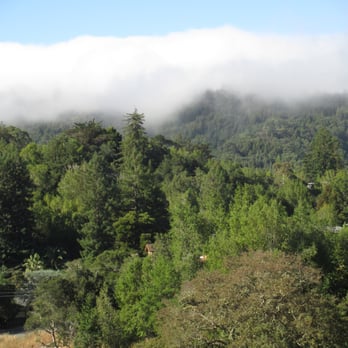 King Mountain - Hiking Near Me - Larkspur, California