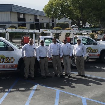 Gecko Pest & Landscape Management - Pest Control Near Me - Merced, California Gecko Pest & Landscape Management - Pest Control Near Me - Merced, California