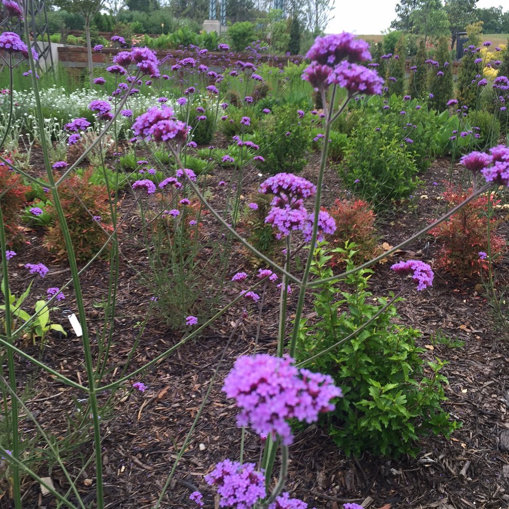 Tulsa Botanic Garden - Botanical Gardens Near Me - Tulsa, Oklahoma