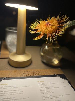 Hā Bar by null