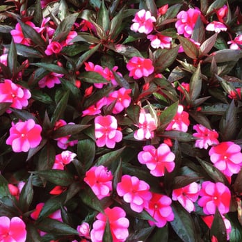 Cantigny - Museums Near Me - Wheaton, Illinois