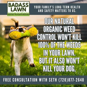 Badass Lawn - Natural Organic Weed Control Services - Lawn Services Near Me Badass Lawn - Natural Organic Weed Control Services - Lawn Services Near Me