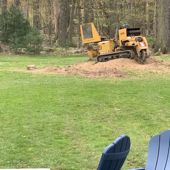 1. Loffredo's Tree Trimming & Removal