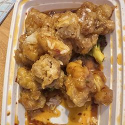 Taste Garden - General Tso from Taste Garden