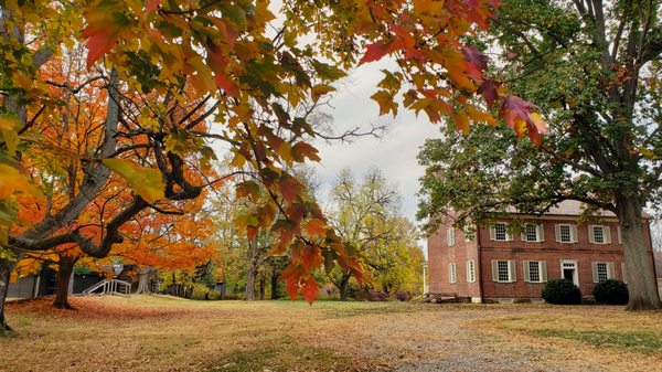 Locust Grove by null