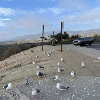 Las Flores View Point - Seagulls - Parks Near Me