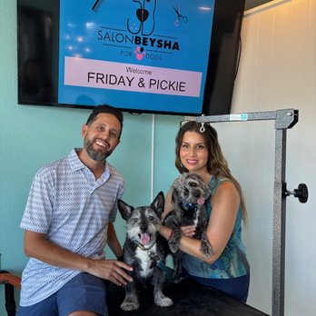 Salon Beysha - My two love bugs pictured here with Tony and Manny. - Pet Groomers Near Me - Pacific Beach, California Salon Beysha - My two love bugs pictured here with Tony and Manny. - Pet Groomers Near Me - Pacific Beach, California