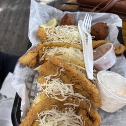The Blue Gator - Fish tacos.