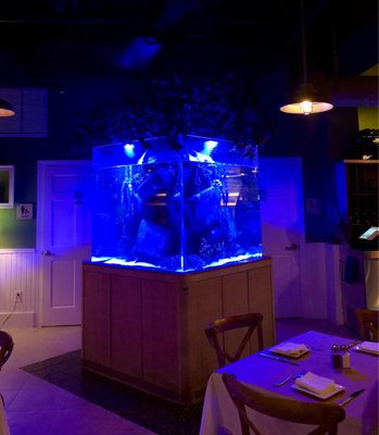 Square Grouper Bar and Grill by null