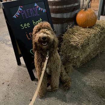 Cornbred - Can't beat great BBQ and being dog friendly! - Barbeque Near Me - Ames, Iowa Cornbred - Can't beat great BBQ and being dog friendly! - Barbeque Near Me - Ames, Iowa